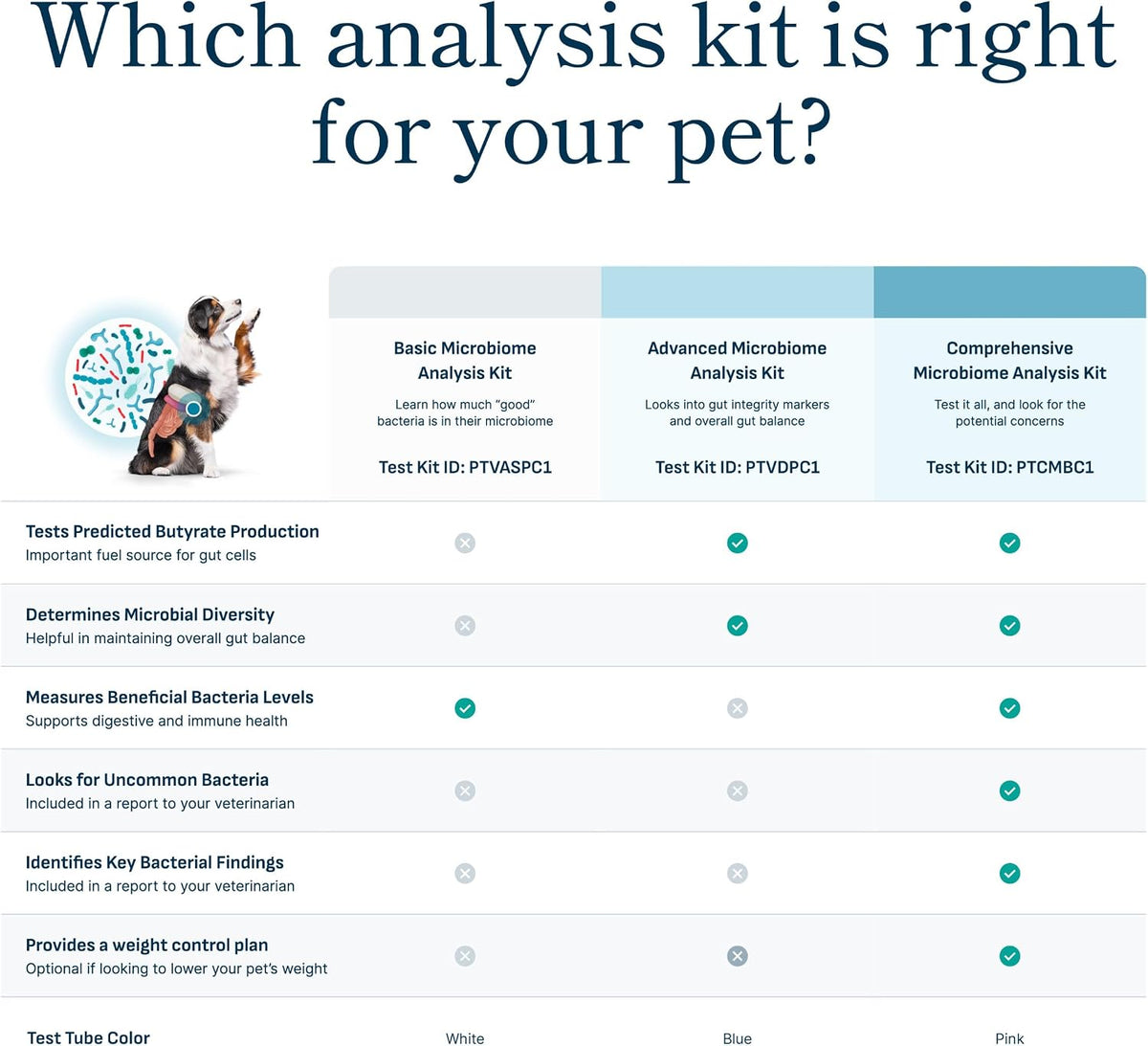 purina petivity comprehensive microbiome analysis kit for cats, close-up detail