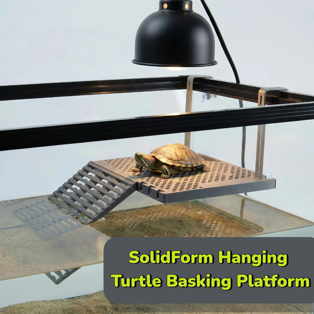 solidform hanging turtle basking platform with built-in food, close-up detail