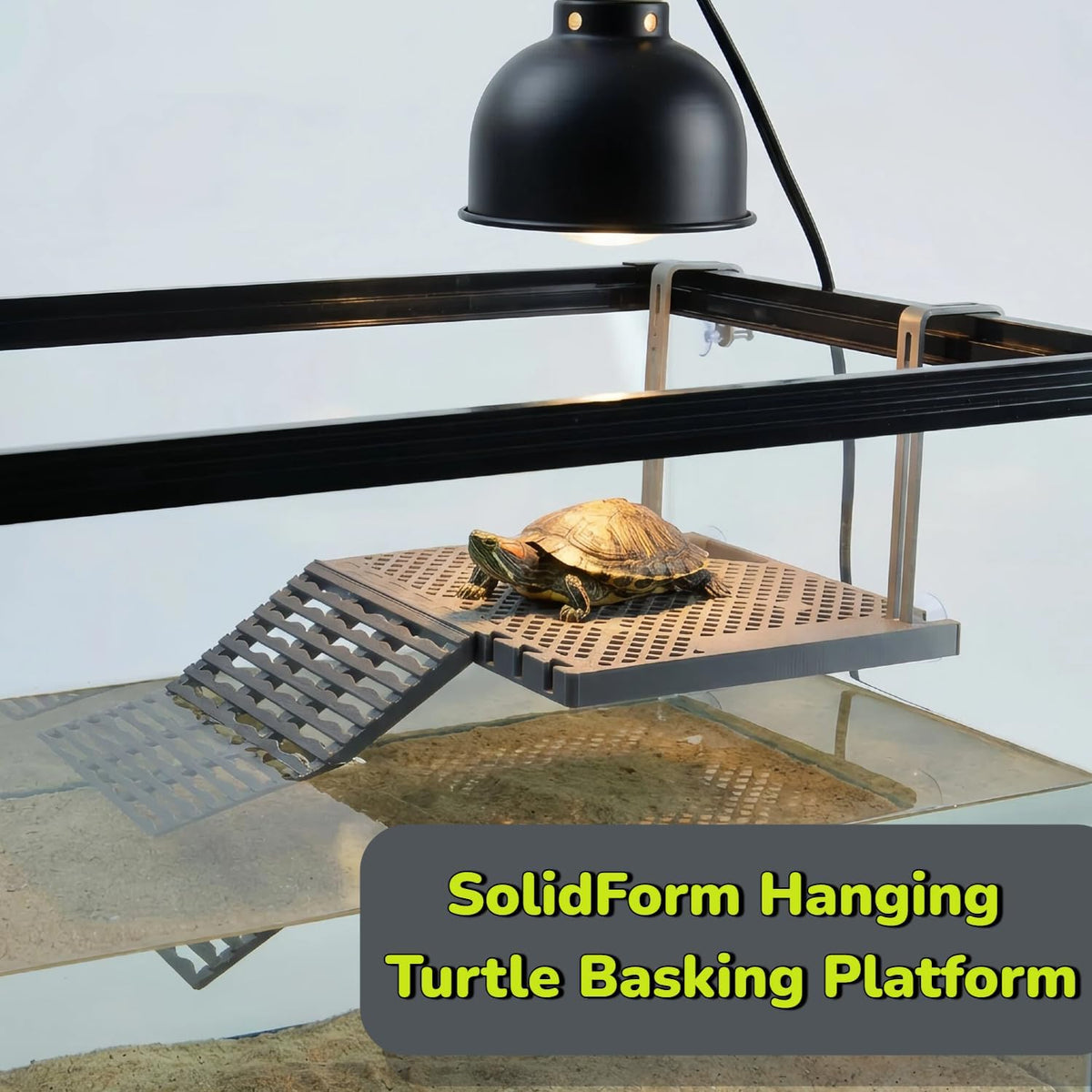 solidform hanging turtle basking platform with built-in food, close-up detail
