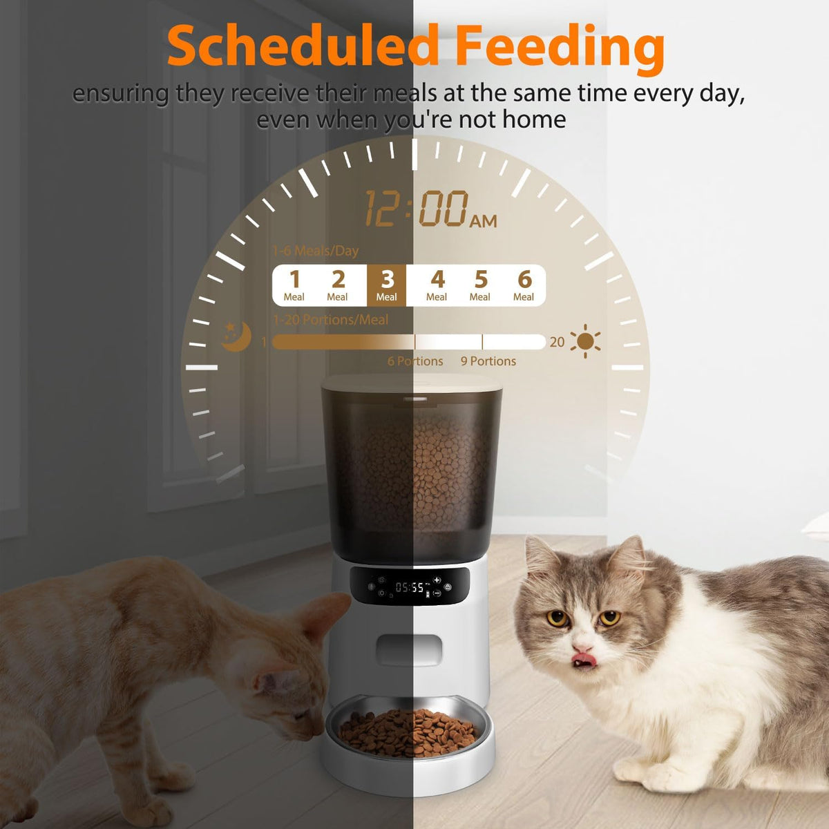 automatic cat feeder, cat food dispenser with stainless shown in use