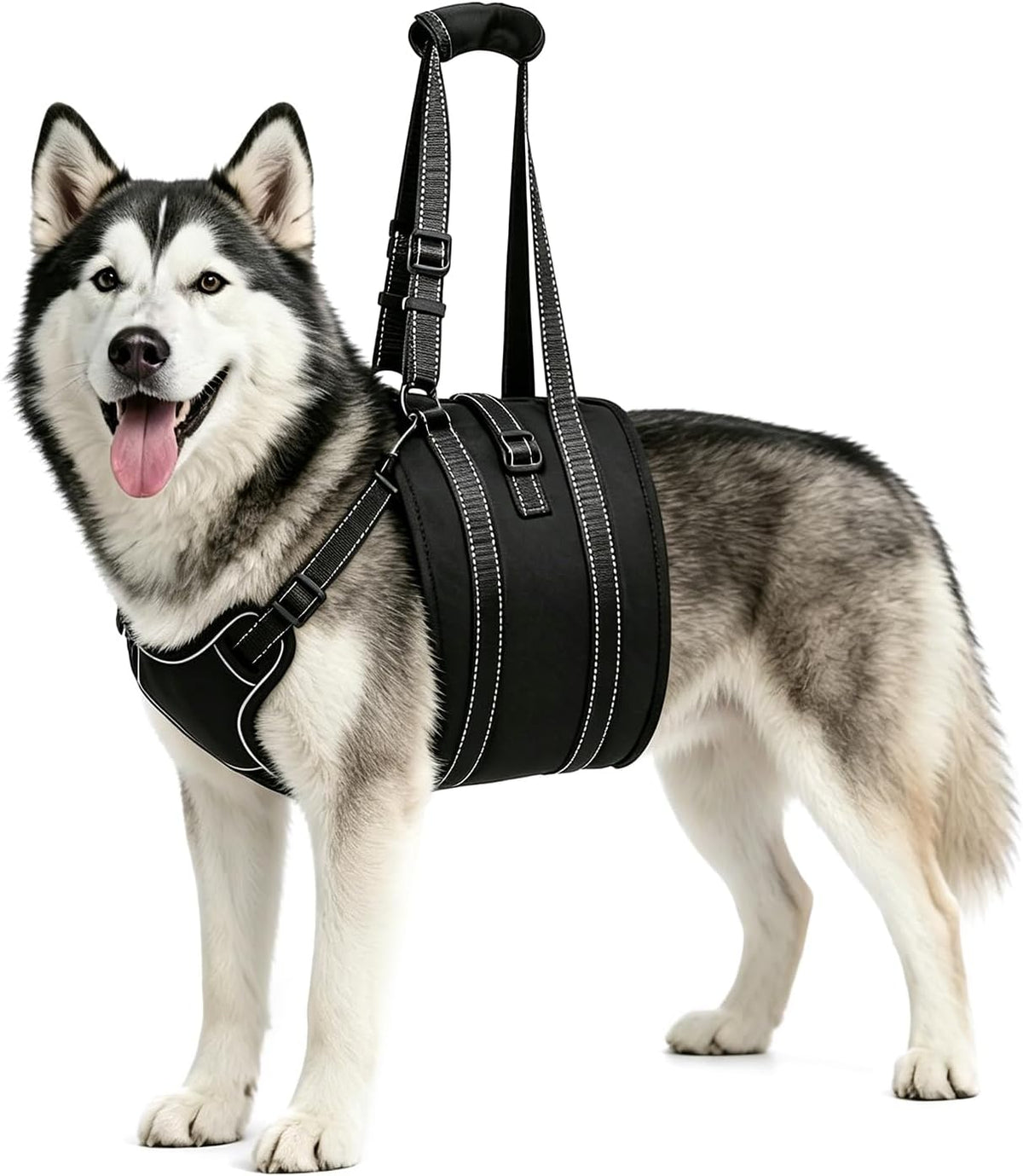 noyal dog lift harness sling, adjustable support for, main product view