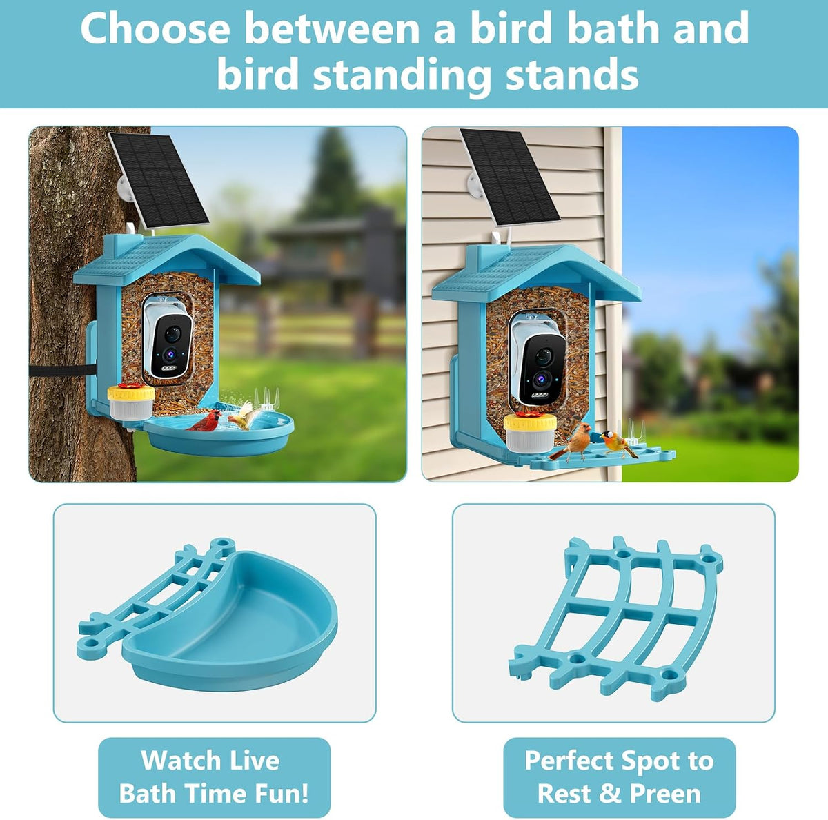 smart bird feeder with camera solar powered, ai, close-up detail