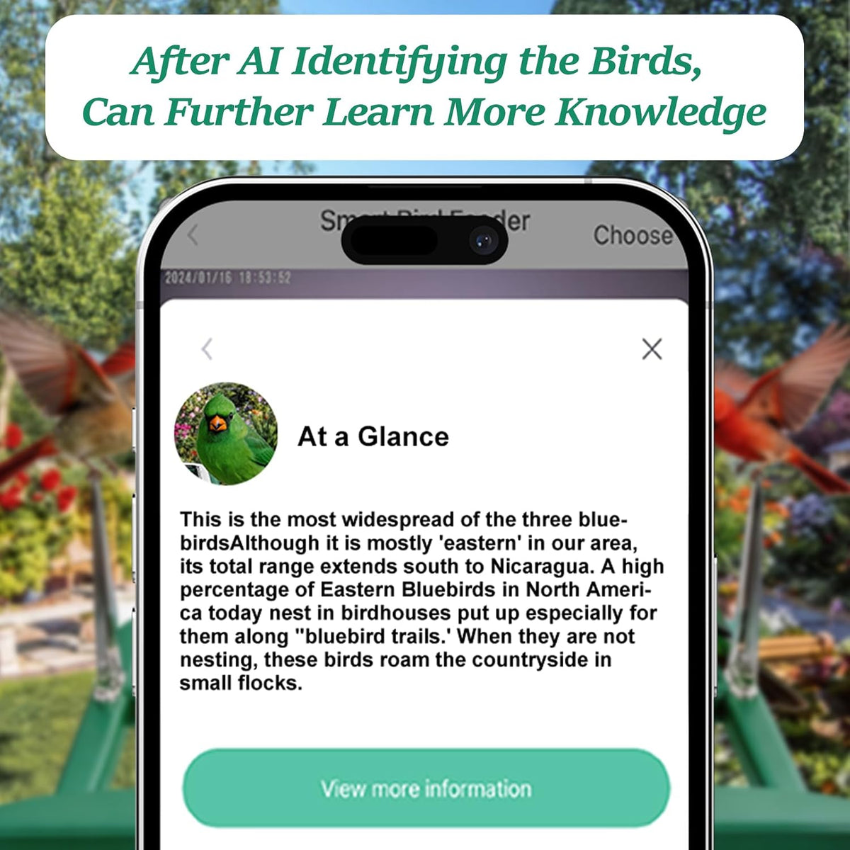 bird feeder with camera,wifi smart bird house with showing dimensions