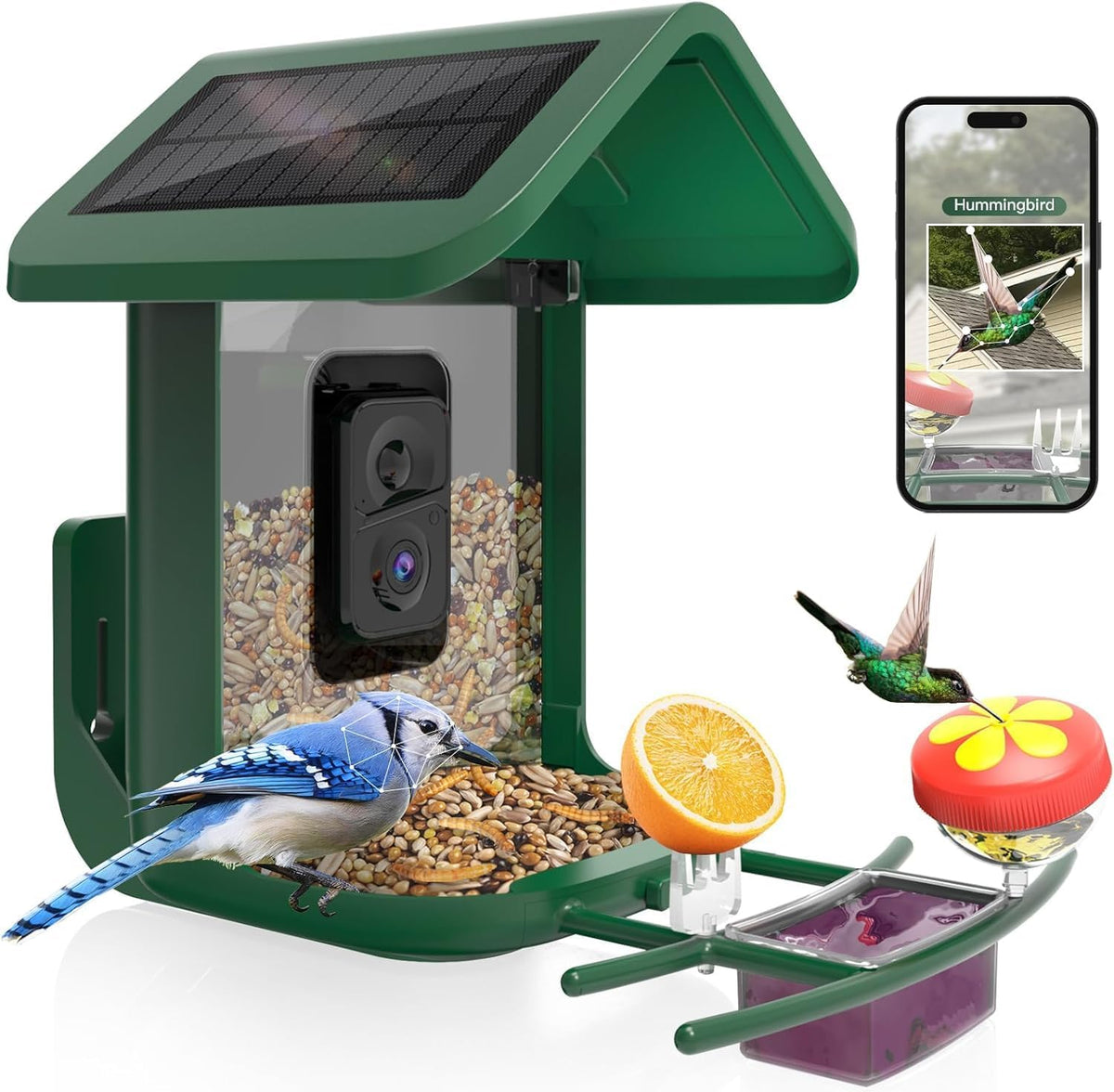 smart bird feeder with camera solar powered, 2k, main product view