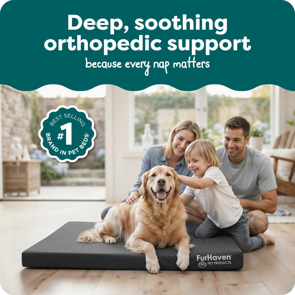 furhaven water-resistant orthopedic dog bed for large dogs shown in use