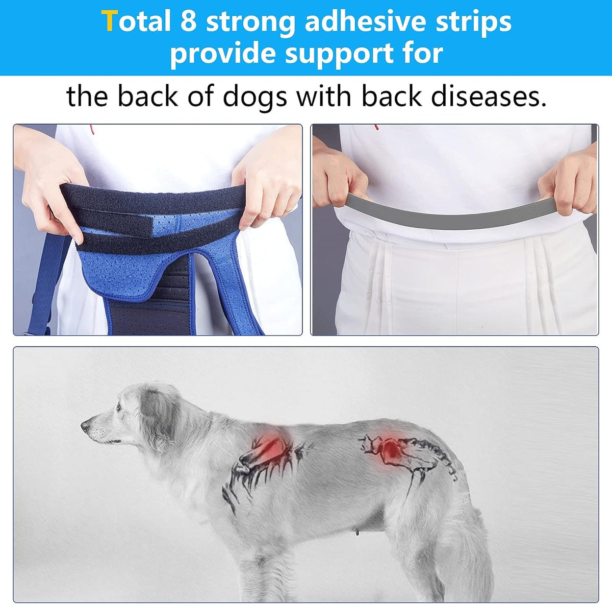 coodeo dog back brace for dogs arthritis, pet, close-up detail