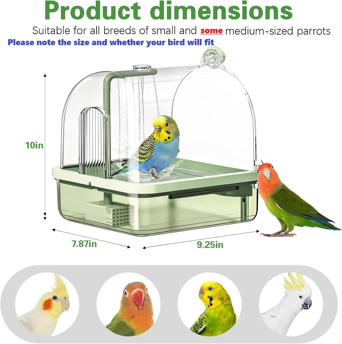 parrot bathtub automatic bath shower,automatic bird bath with shown in use