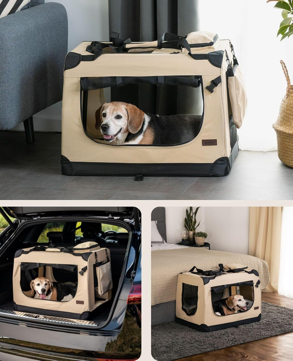 lionto dog transport box foldable for travel & shown in use