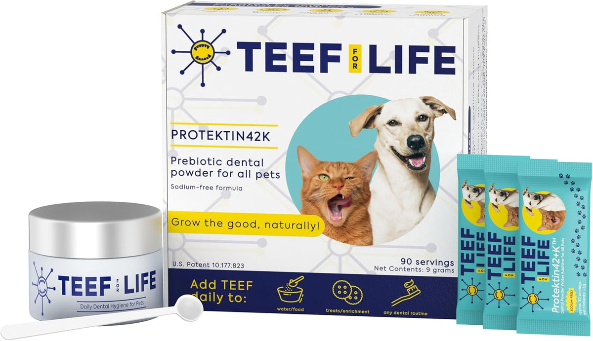 teef for life protektin42k prebiotic cat & dog, main product view