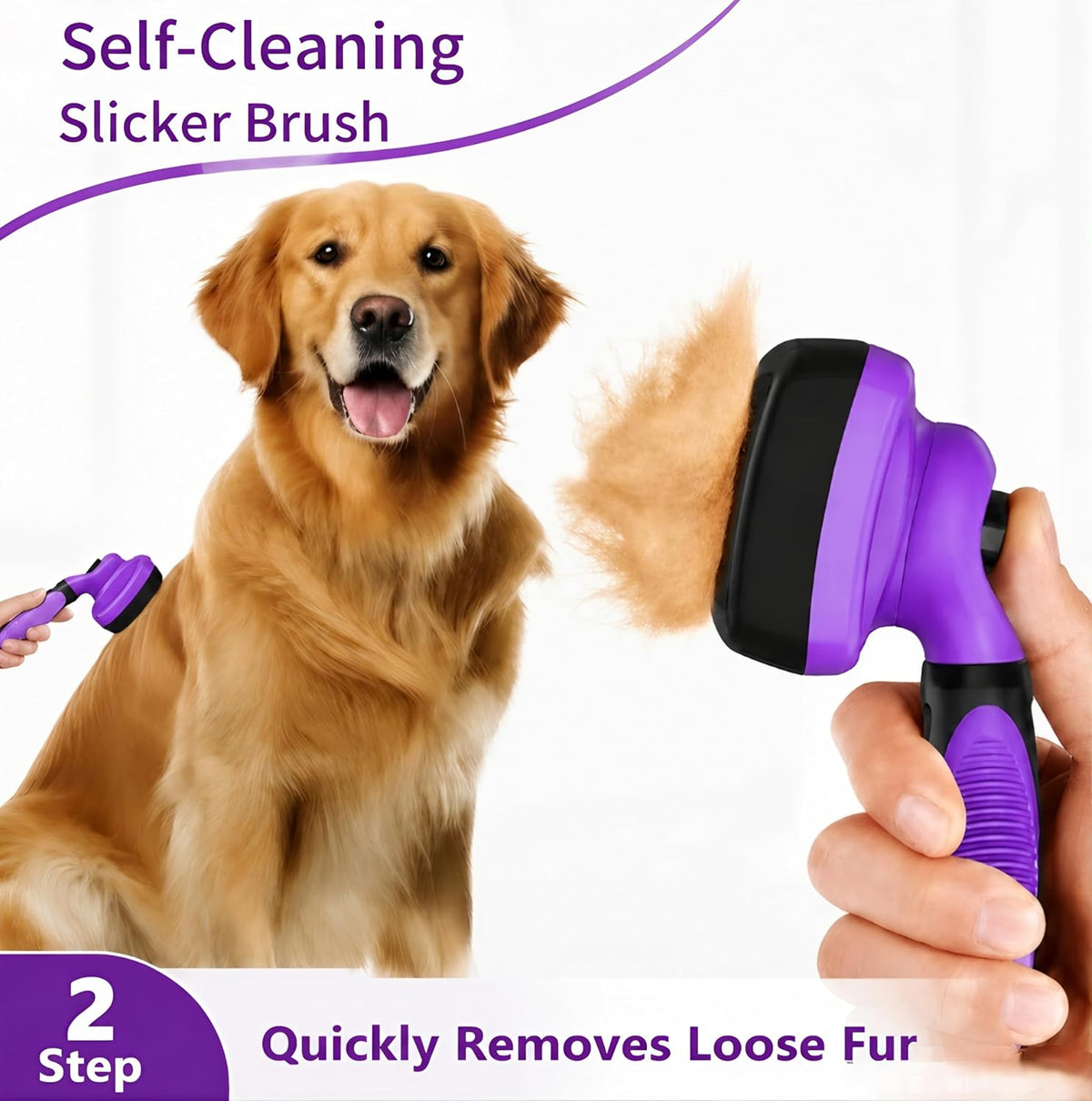 cat grooming kit,kitten puppy pet dog grooming kit,dog, close-up detail
