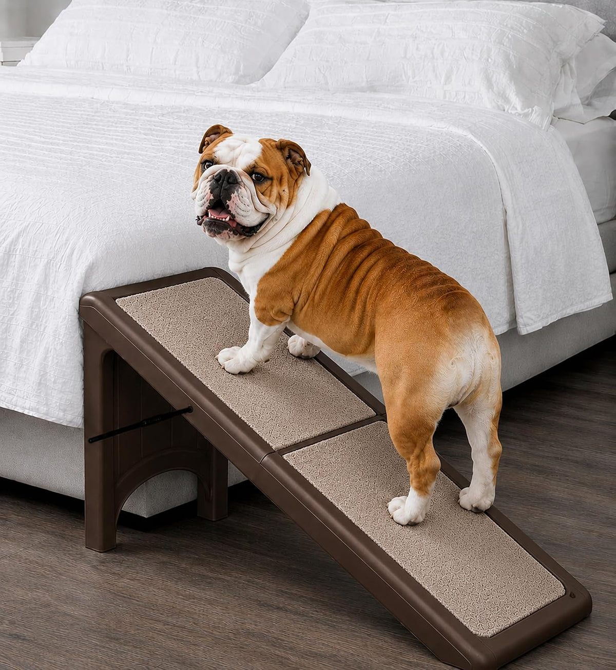 pet gear free standing pet ramp for cats, main product view