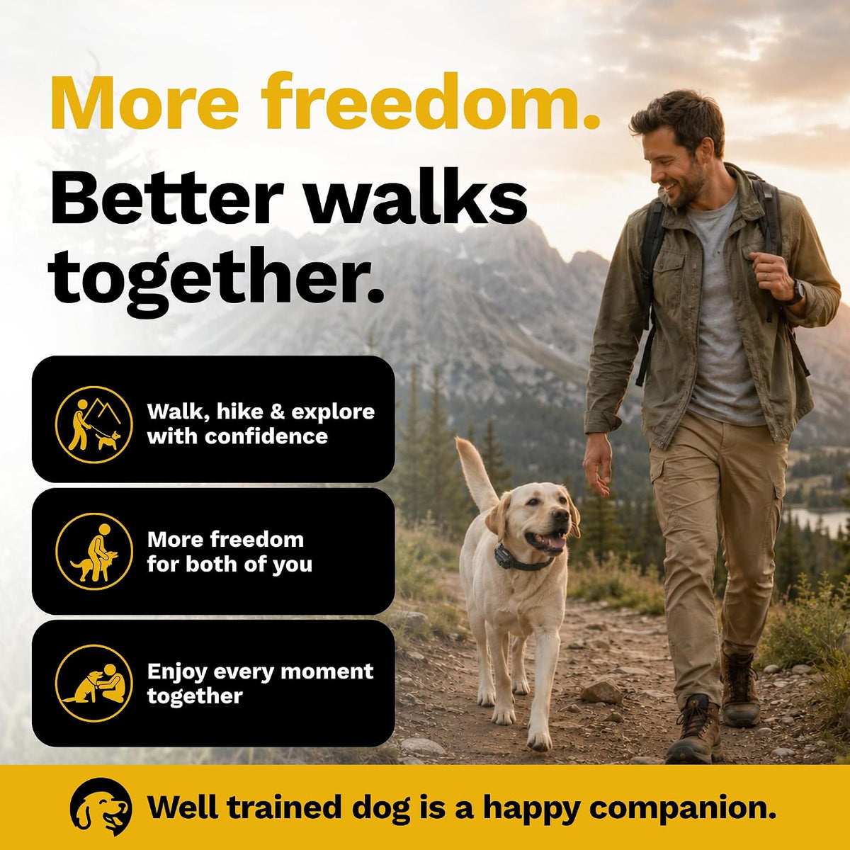 educator ez-900 e collar for dog training with showing dimensions
