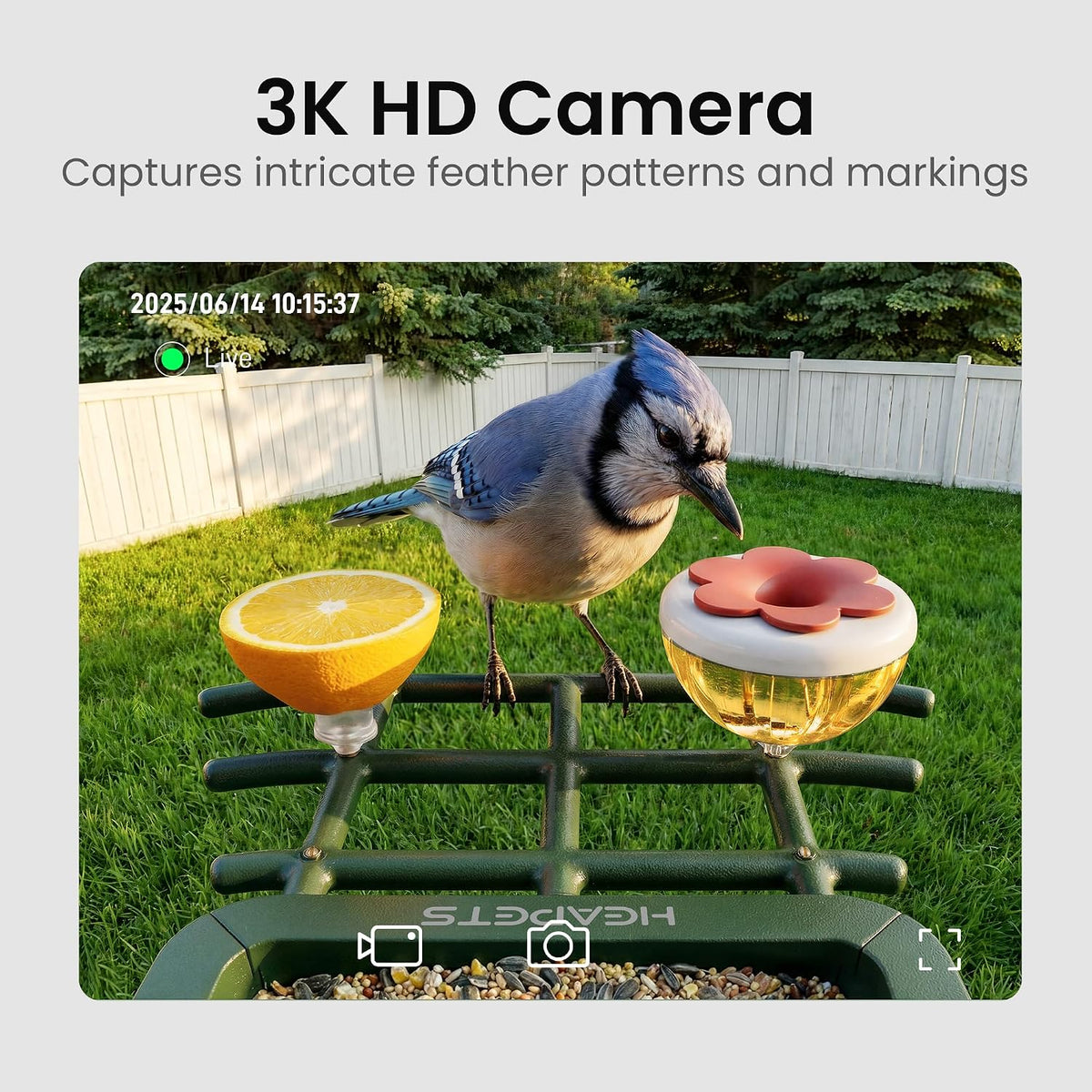 heapets bird feeder with camera solar powered, 3k shown in use