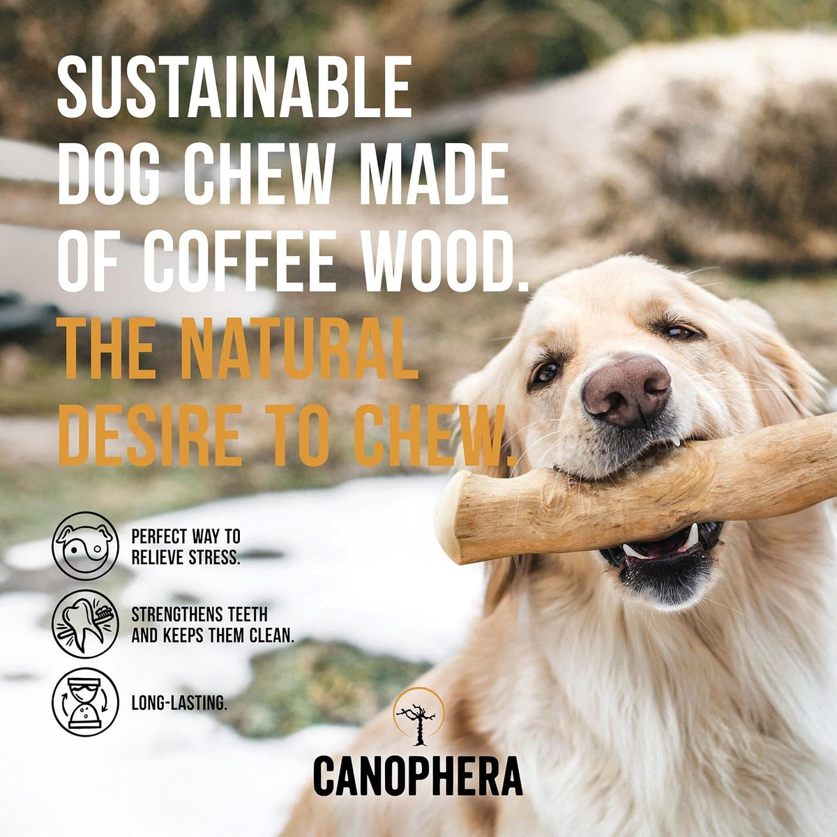 pack of 2 – xl natural coffee wood, close-up detail