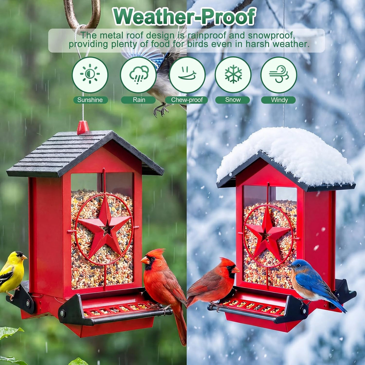 squirrel proof bird feeder for outdoor, 5 lb showing dimensions