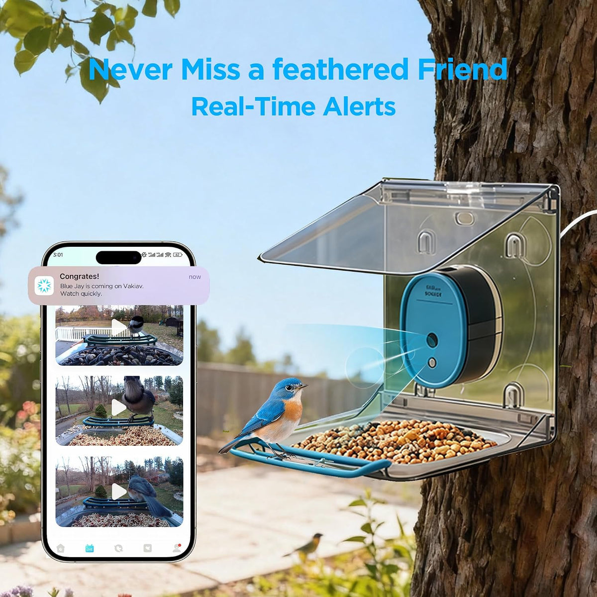 smart bird feeder with camera solar powered,2k uhd, side view