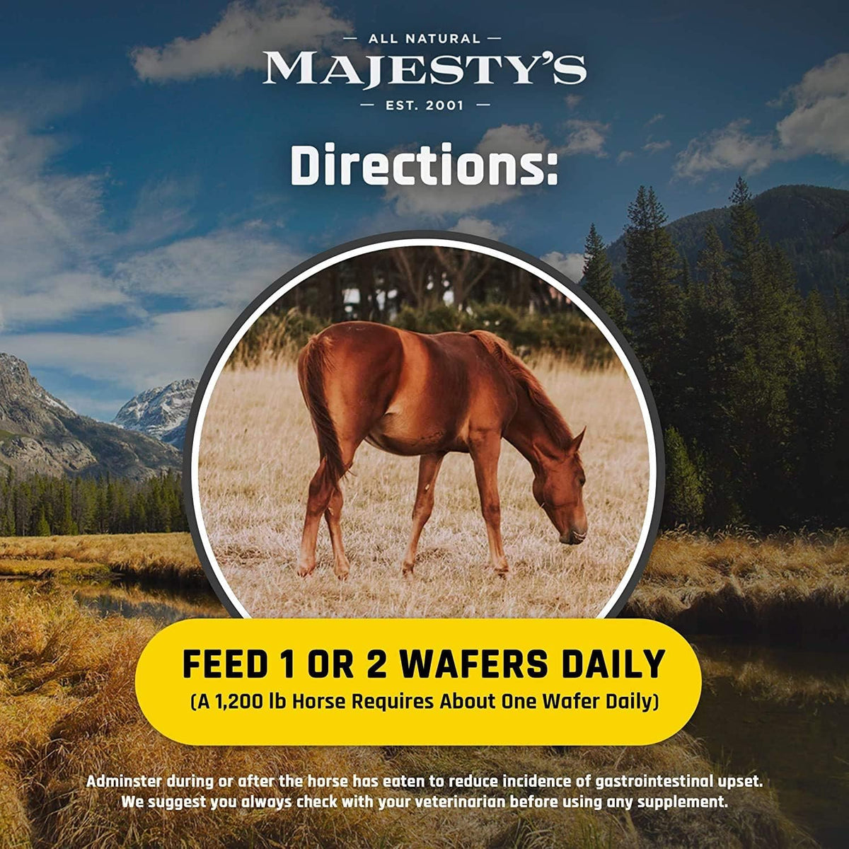 majesty's flex wafers - superior horse/equine joint support showing dimensions