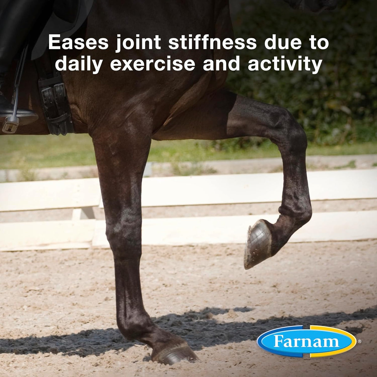 farnam next level joint supplement for horses & shown in use
