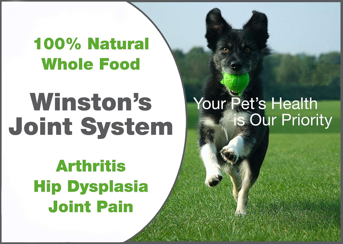 winston joint system - for smaller dogs under showing dimensions