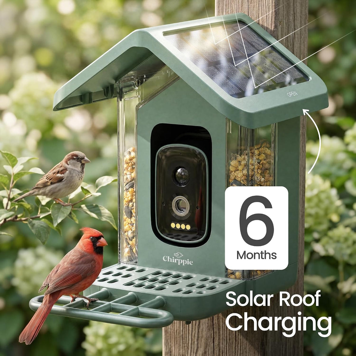 solar powered smart bird feeder with camera with, side view
