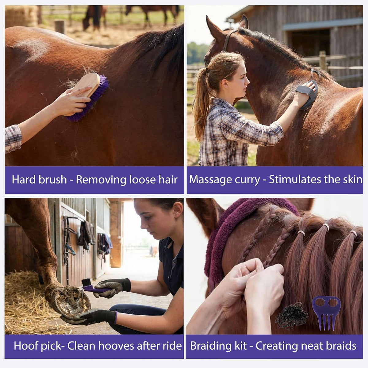 13 piece horse grooming kit, complete horse brush, side view