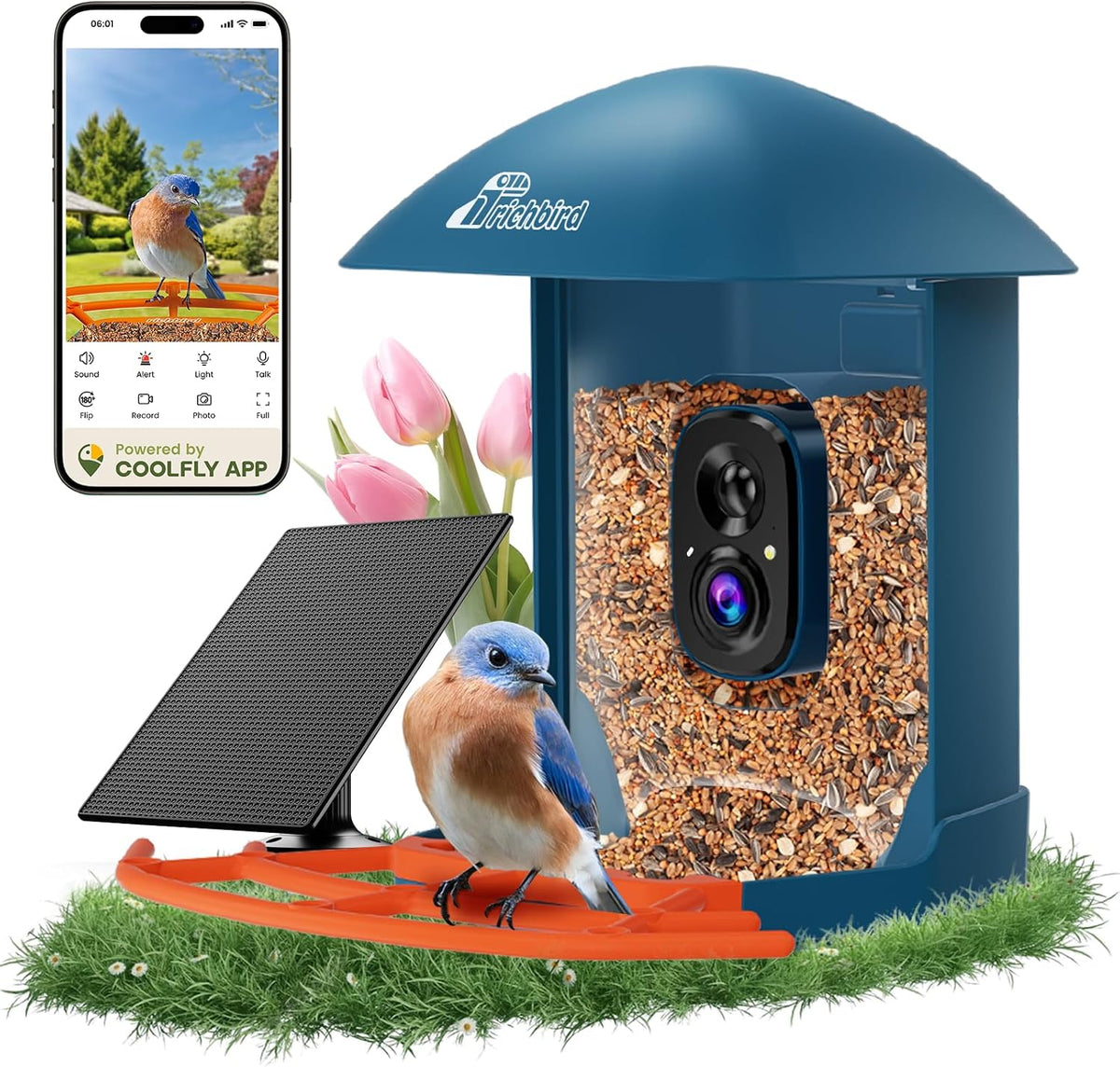 smart bird feeder with camera & solar panel, main product view