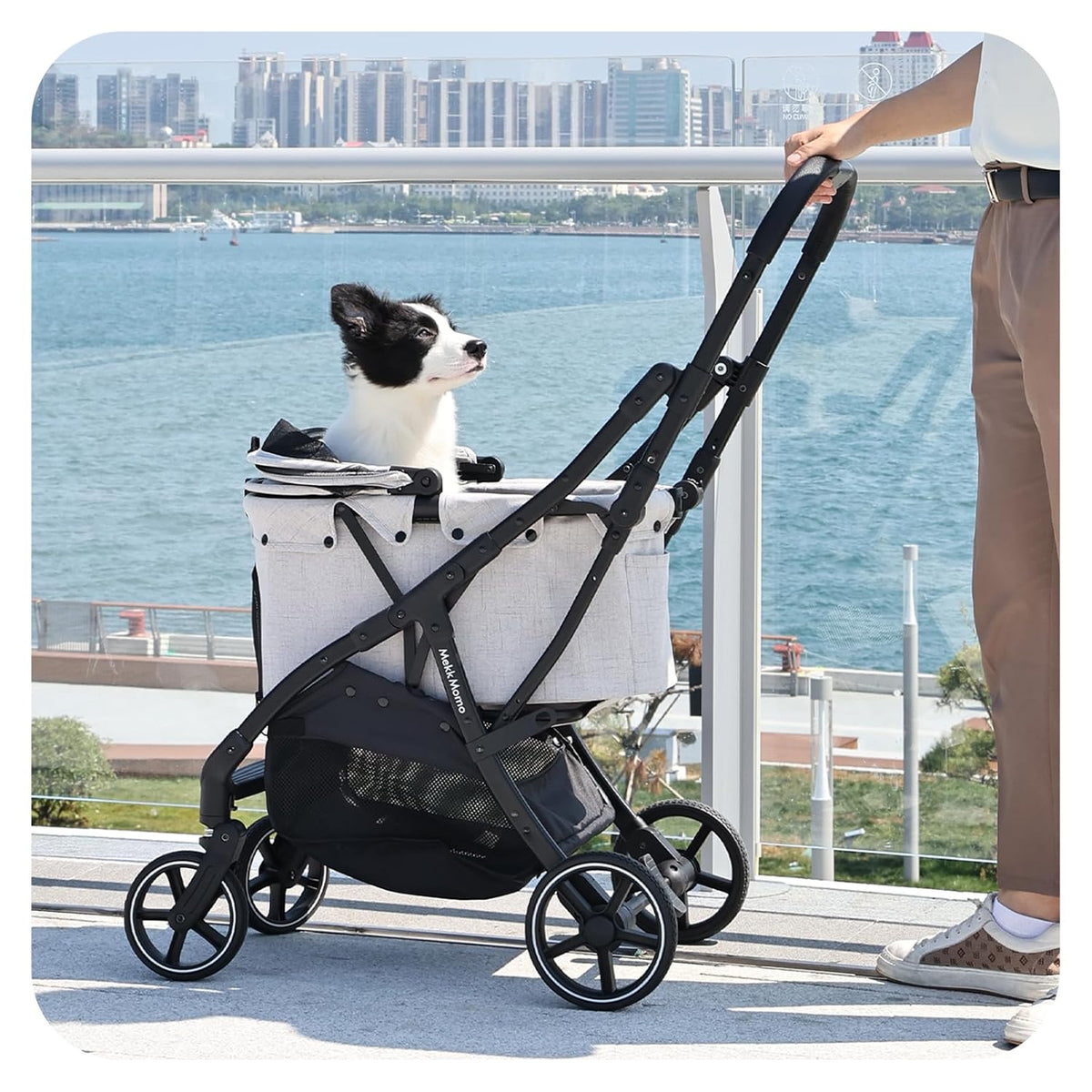pet stroller for small medium dogs & cats shown in use
