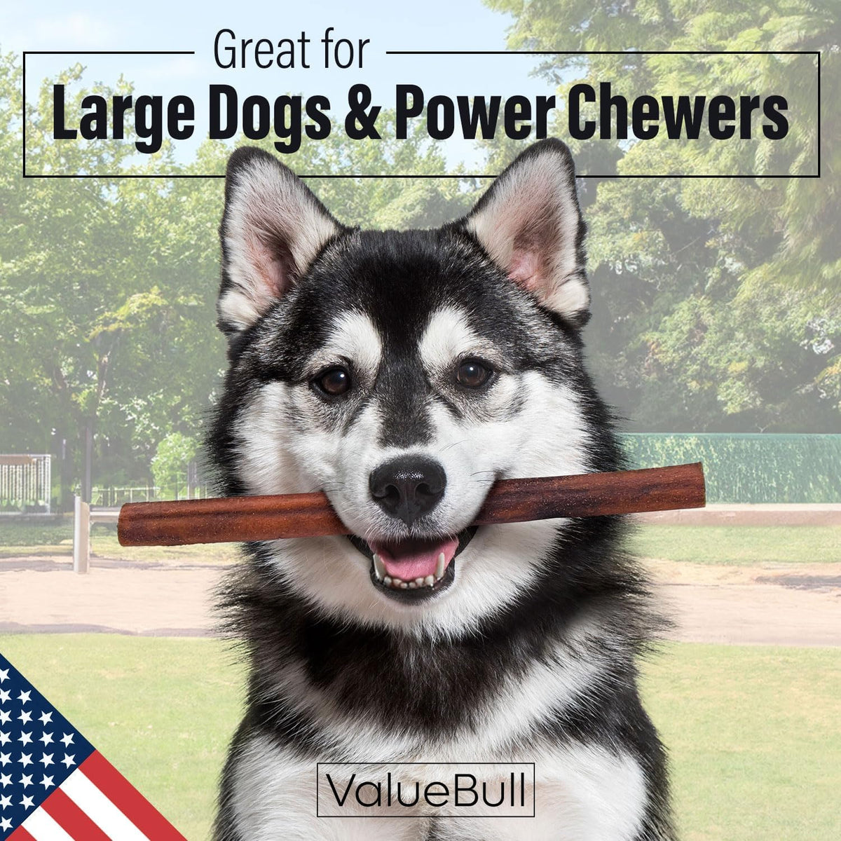 valuebull usa beef collagen sticks for dogs, 12 shown in use