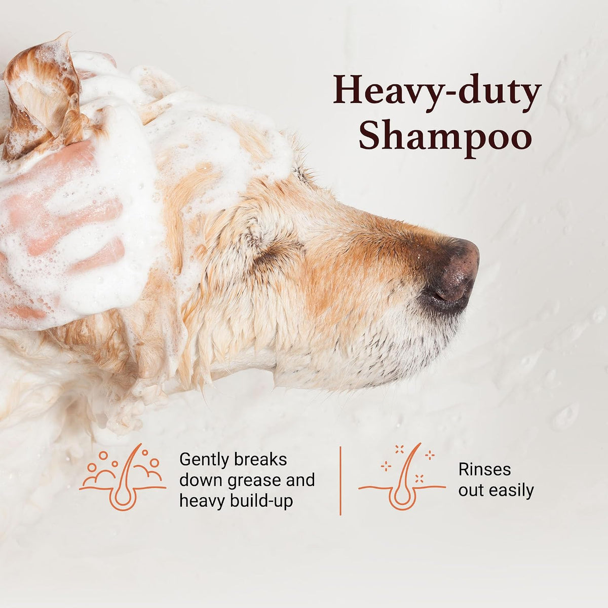igroom squeaky clean dog shampoo, luxury pet beauty, close-up detail