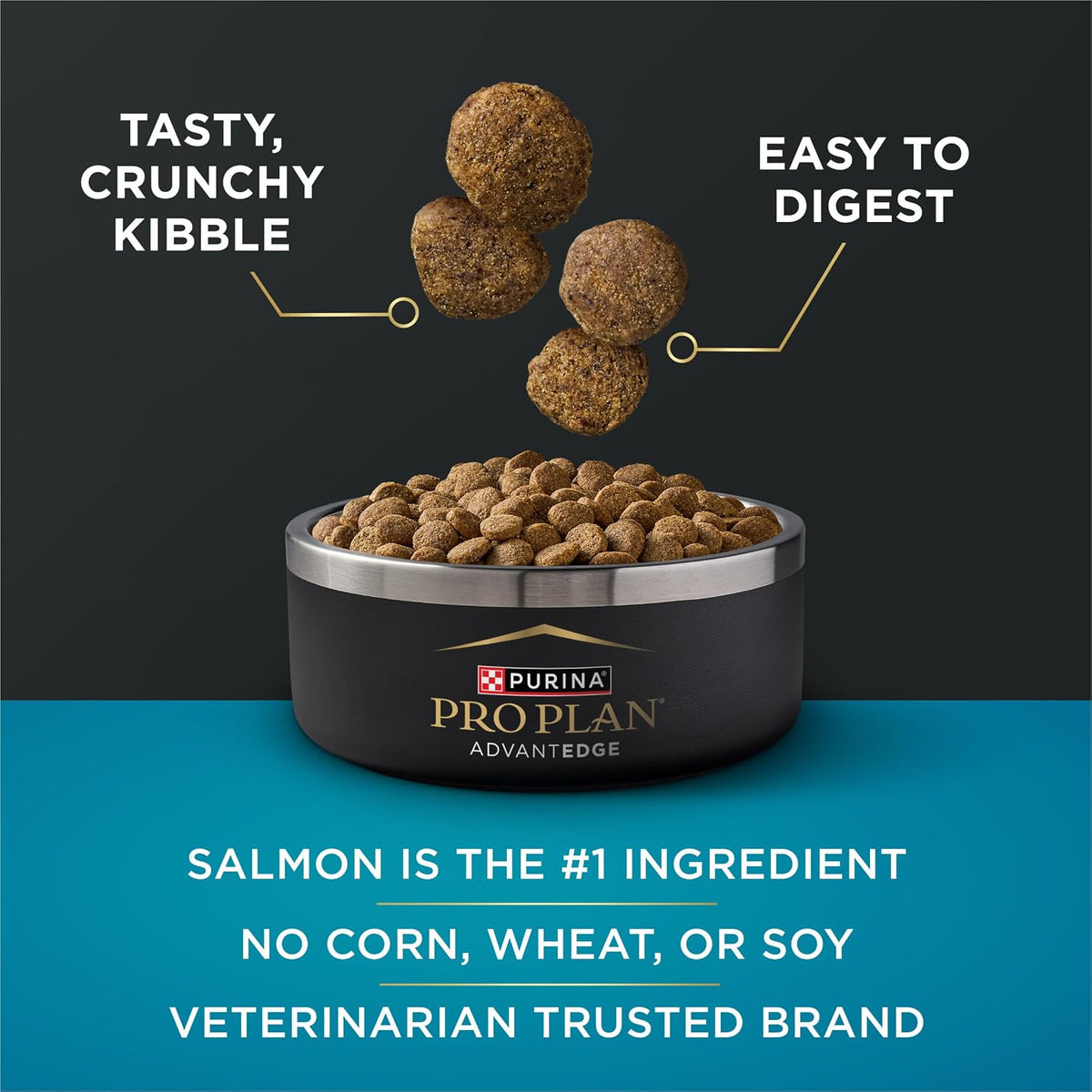 purina pro plan advantedge digestive support plus dry, close-up detail