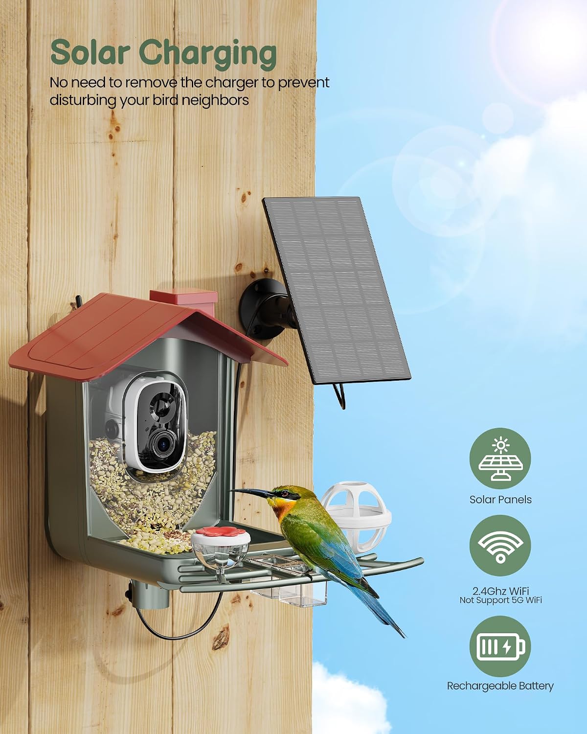 smart bird feeder with camera outdoor: solar birdfeeder showing dimensions