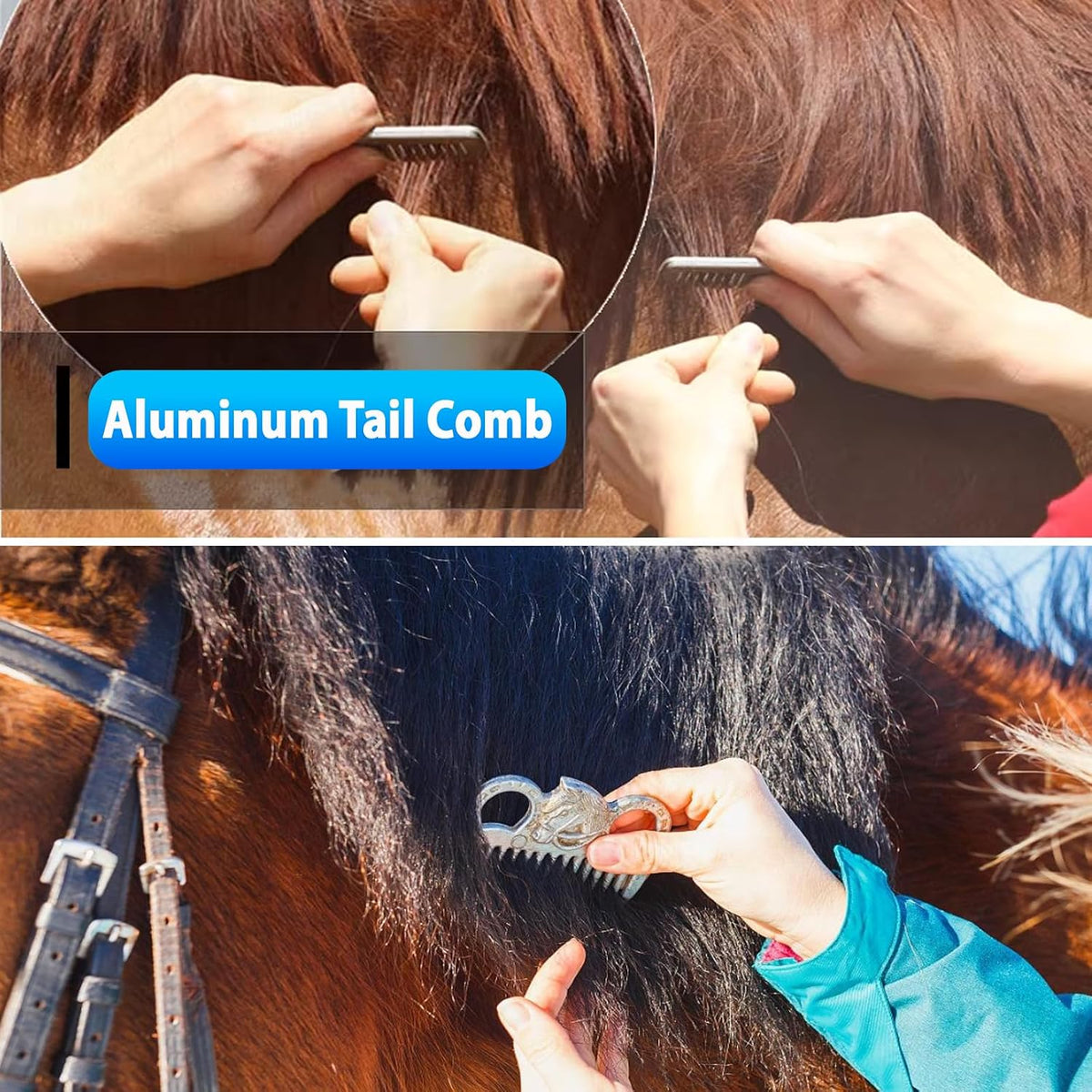 13 piece horse grooming kit, horse brushes for showing dimensions