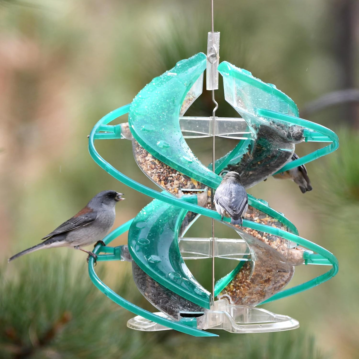 cascade® dna™ songbird seed feeder, allows 2 types shown in use