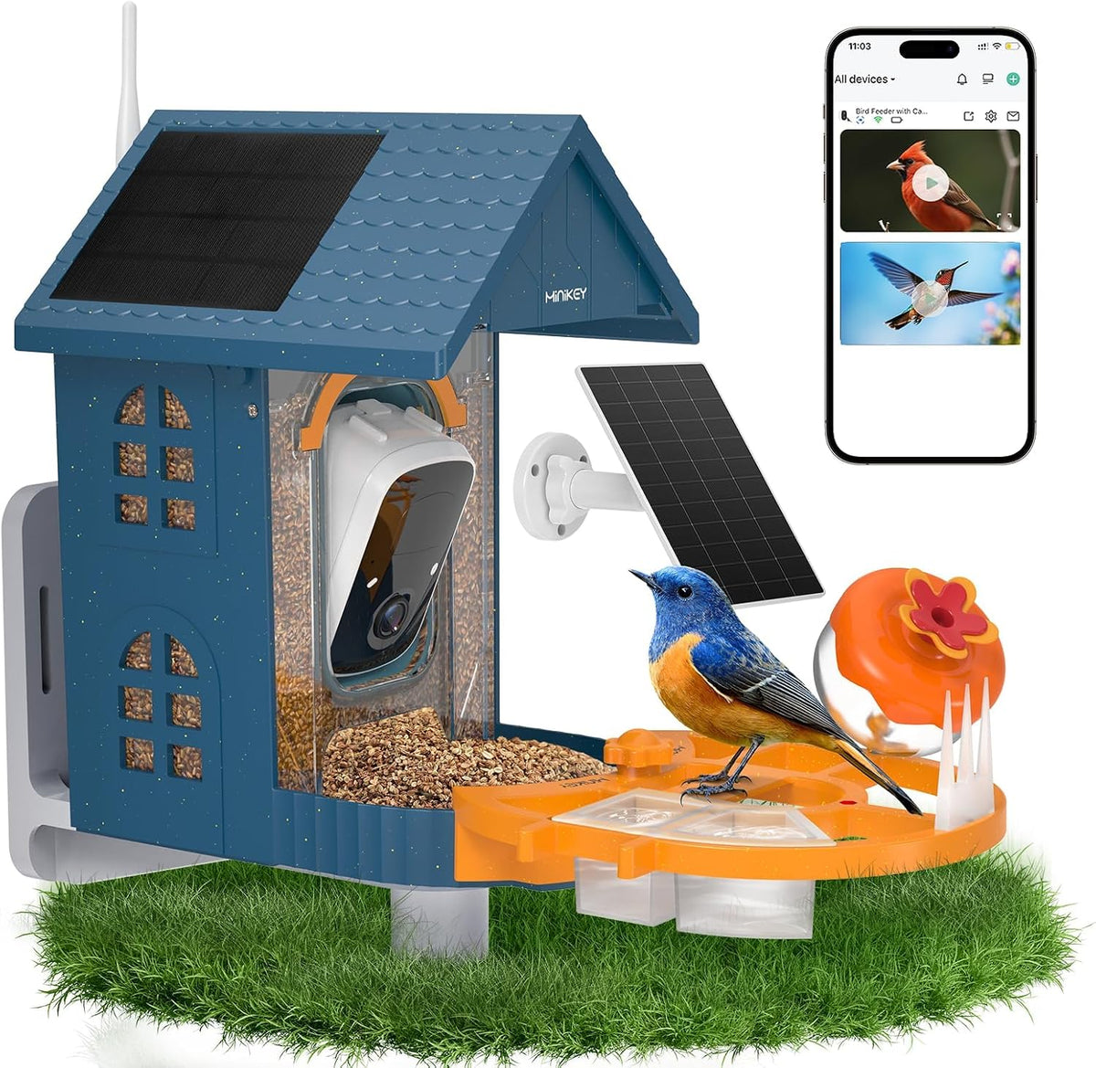 smart bird feeder with camera outdoor birdhouse:ai identifies, main product view