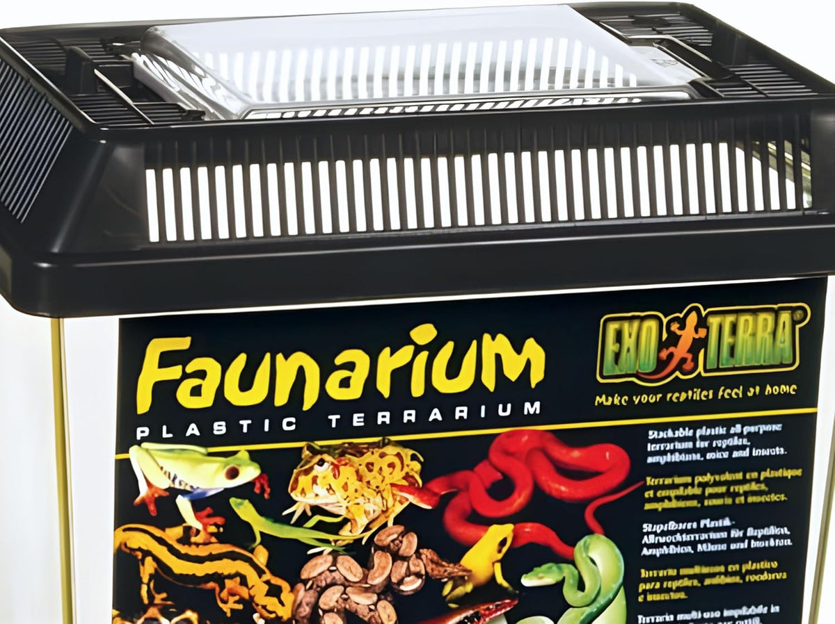exo terra faunarium, plastic reptile terrarium, large, pt2265 shown in use