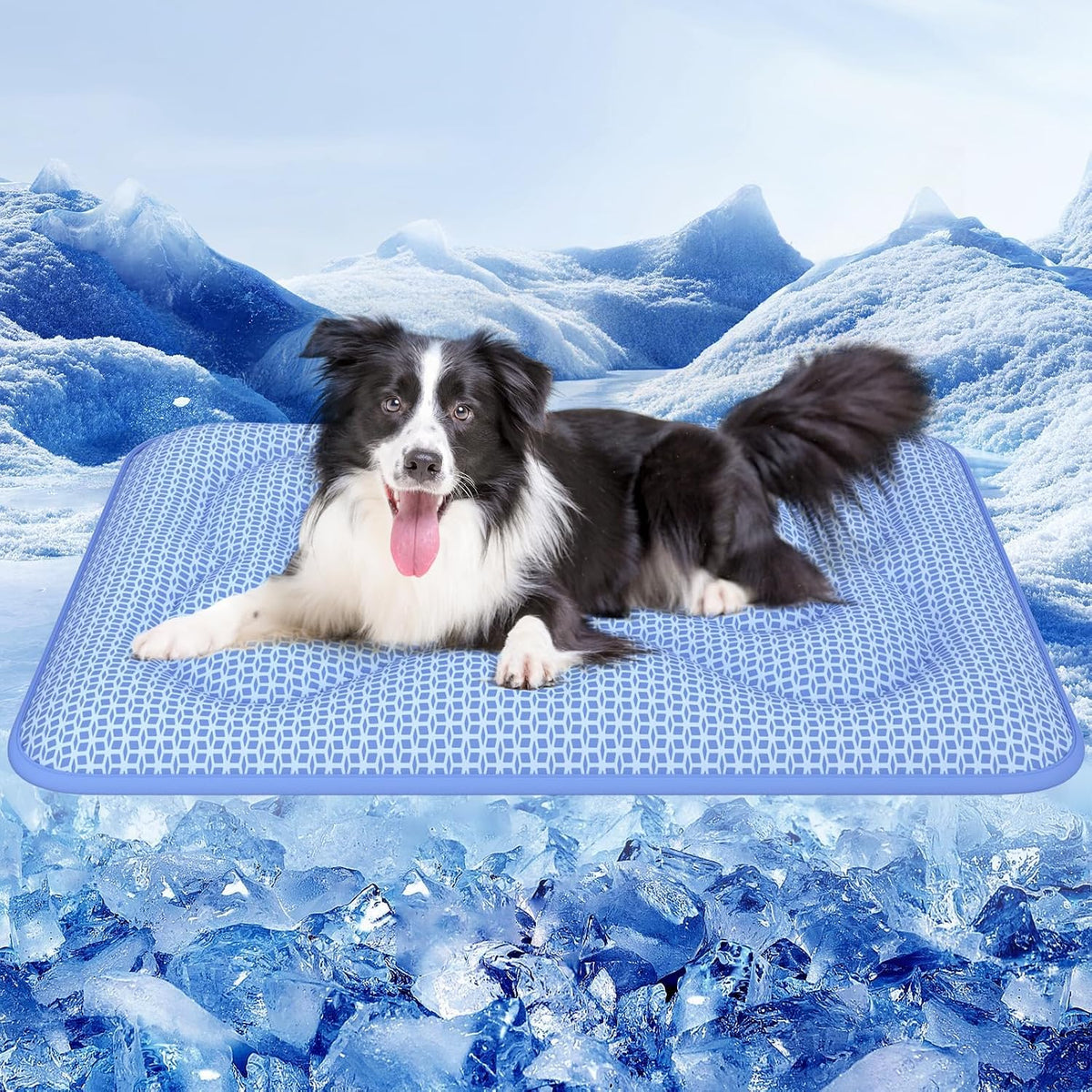 rywell thickened cooling mat for dogs, 44 x, main product view