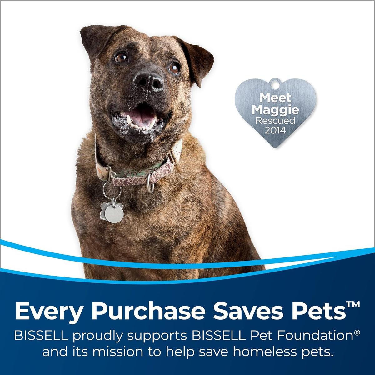 bissell 24613 pet hair eraser turbo plus lightweight shown in use