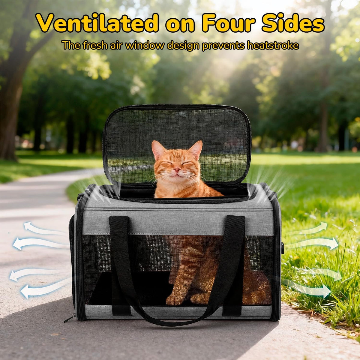 hipubby cat carrier dog carrier for pets up, package contents