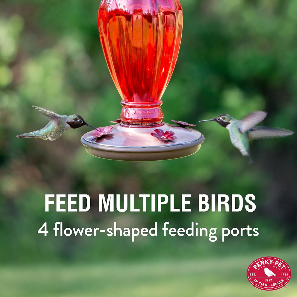 perky pet 8133-2 daisy vase vintage glass hummingbird shown in use