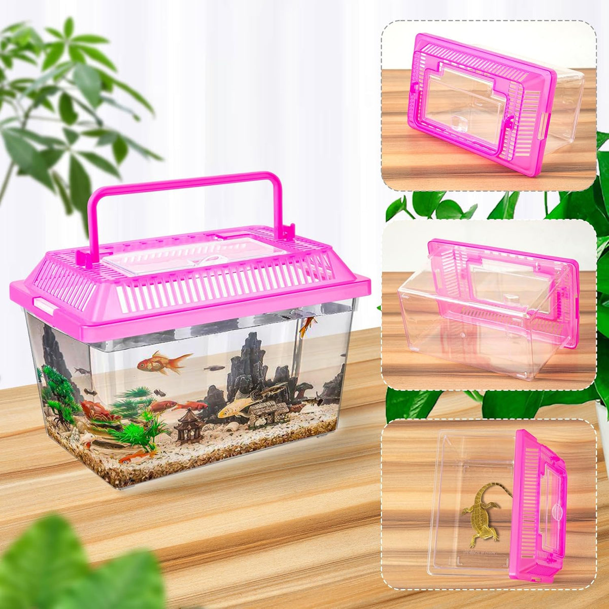 plastic reptile terrariums carrier cage, tarantula enclosure breeding, close-up detail