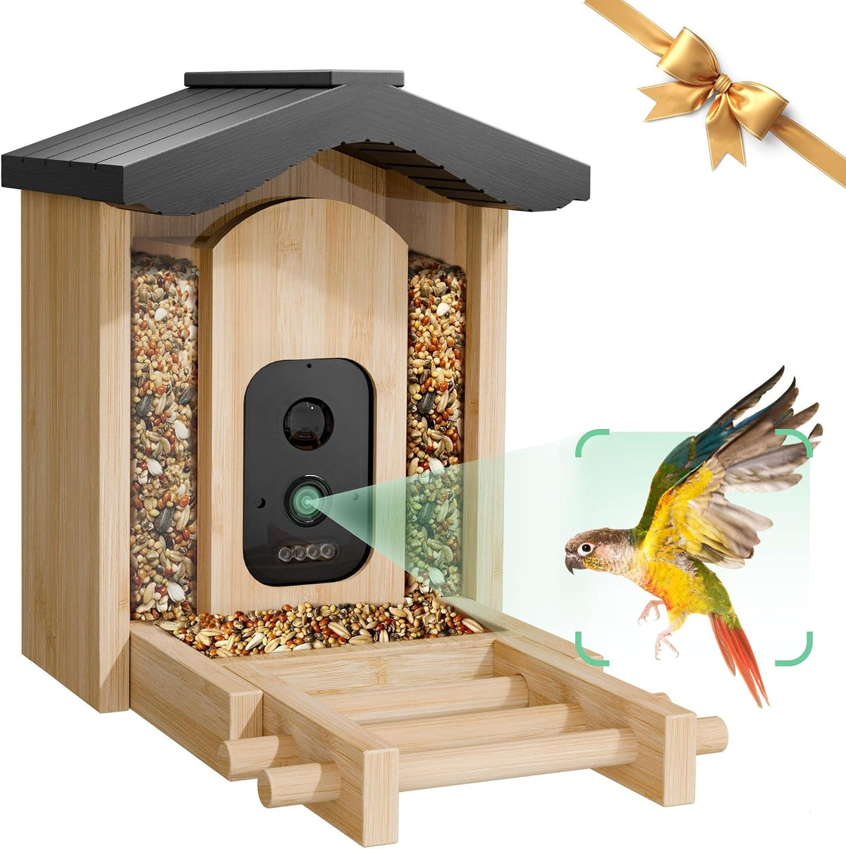 visiogear bird feeder with camera, smart bird feeder, main product view