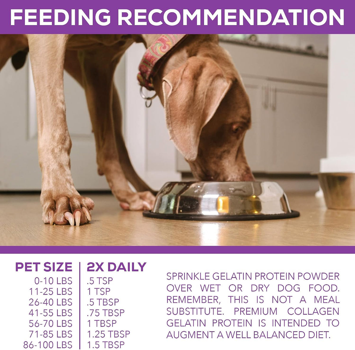 premium collagen gelatin protein for dogs, 8 lb, side view