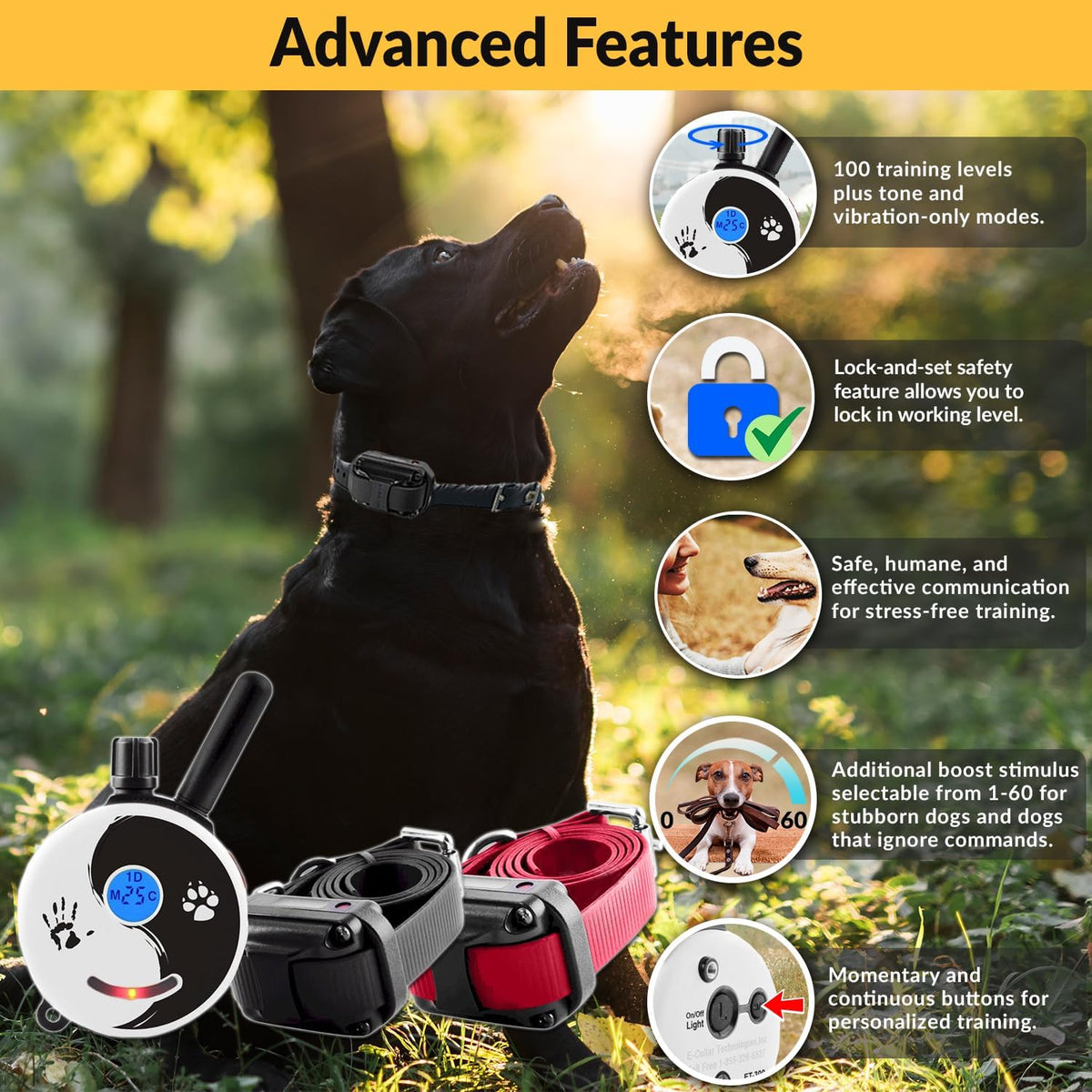 e-collar educator zen-302 dog training collar with remote shown in use