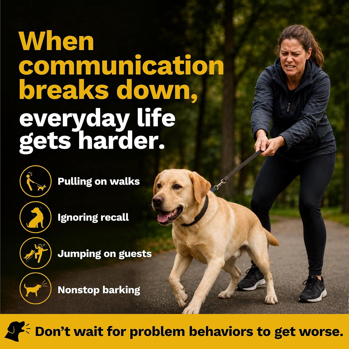 educator ez-900 e collar for dog training with, close-up detail