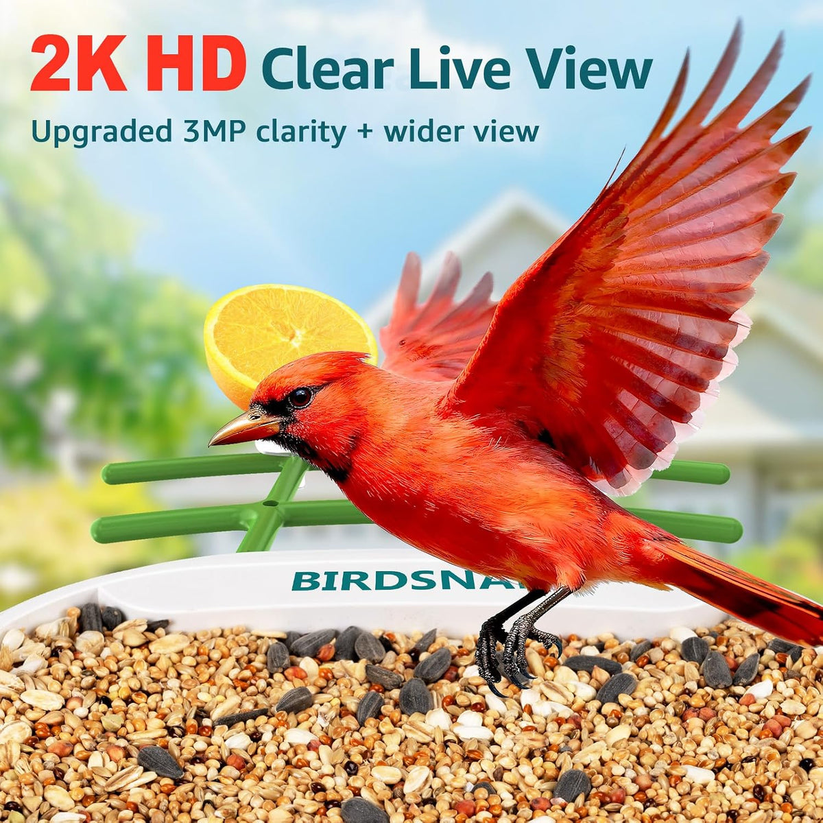 birdsnap® tuc bird feeder with camera solar powered, close-up detail