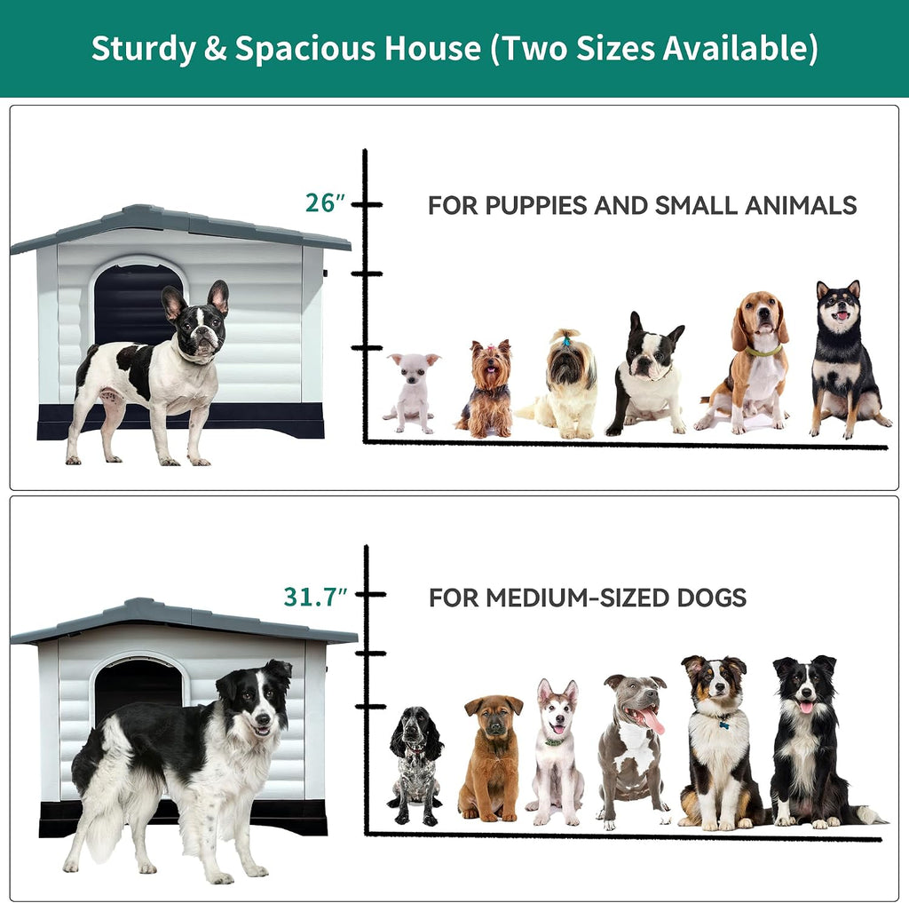 dwvo 2-door large dog house with elevated base showing dimensions