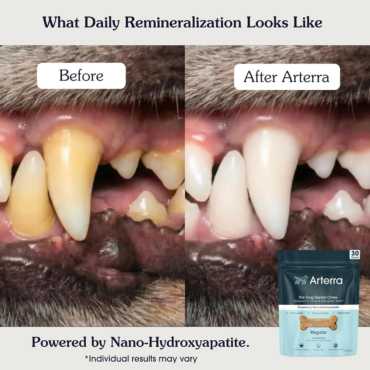 arterra dental chews for small dogs with nano-hydroxyapatite, close-up detail