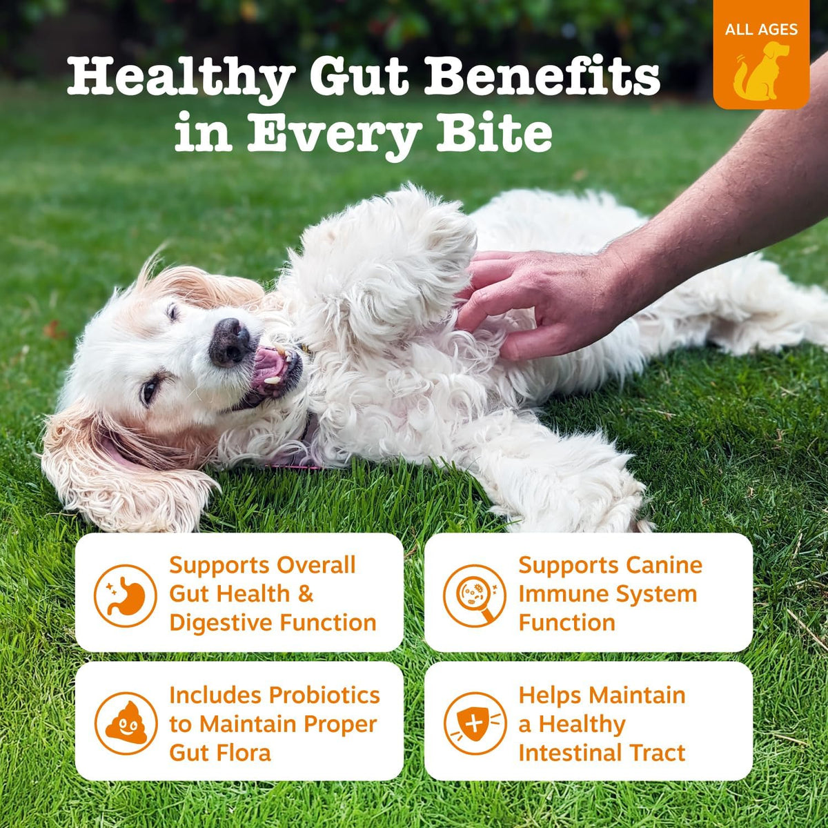 zesty paws probiotics for dogs, digestive enzymes gut shown in use