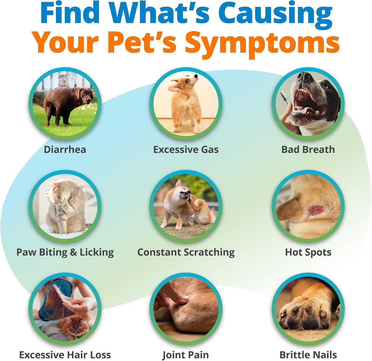 5strands comprehensive pet health assessment, 1500 items tested, side view