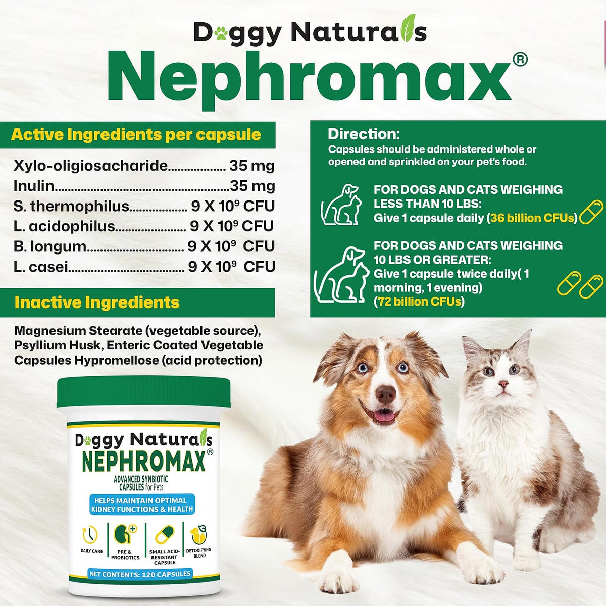 nephromax™ synbiotic capsules dogs cats -36 billion cfu shown in use